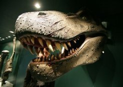 Tính đa dạng của khủng long có cả phả hệ dài